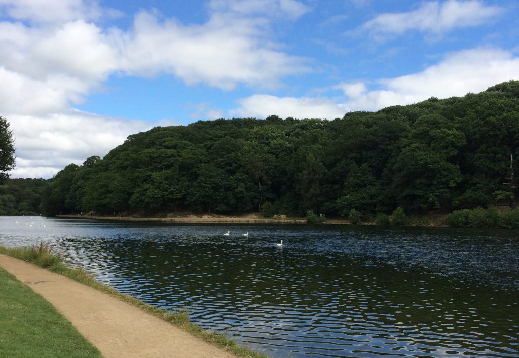 Roundhay